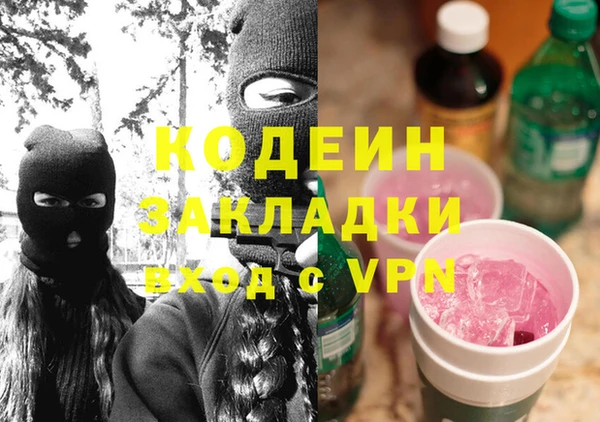 шишки Инсар