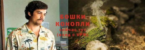 шишки Инсар