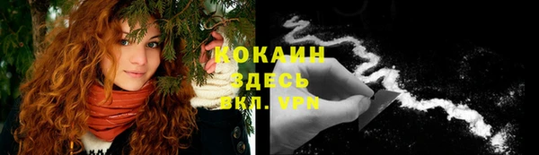 шишки Инсар