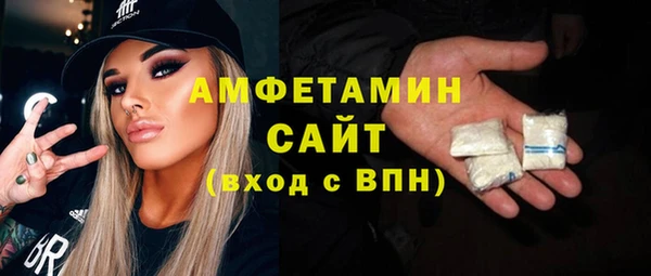 шишки Инсар
