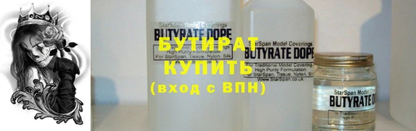 шишки Инсар
