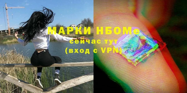 шишки Инсар