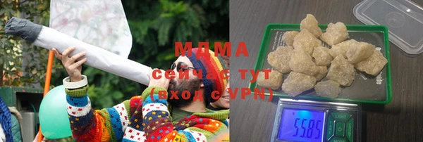 шишки Инсар