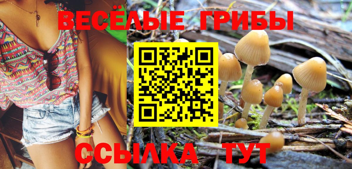 Галлюциногенные грибы мицелий Мирный