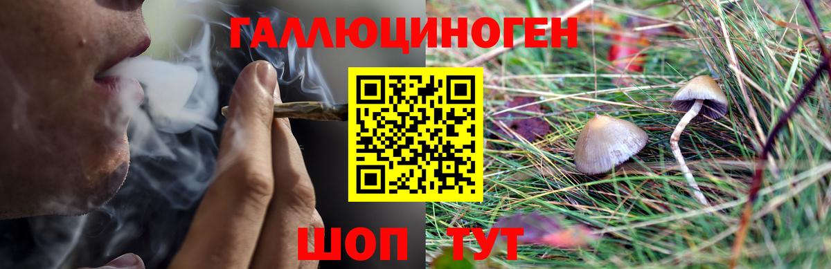 Псилоцибиновые грибы Cubensis  Вход с VPN  Мирный 